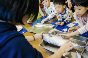 洄遊吧趣味活動體驗,認真觀察煙仔虎的小朋友們。(照片提供:洄遊吧FISH BAR)