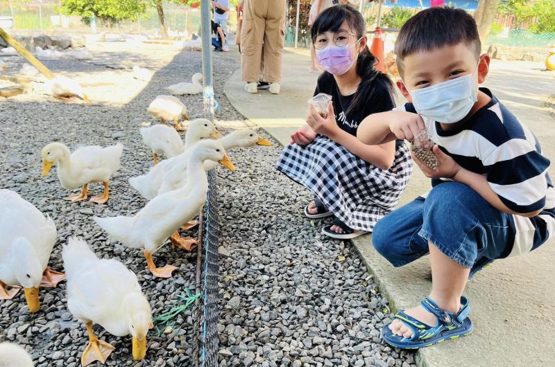 2024宜蘭親子景點推薦，下田採蔥、釣蝦遊樂、鹹鴨蛋DIY，週末帶小孩放電去！