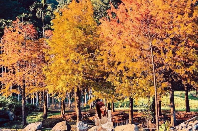 2024盤點宜蘭５條秋天必玩路線！一次蒐集絕美秘境、山海大景、在地甜點